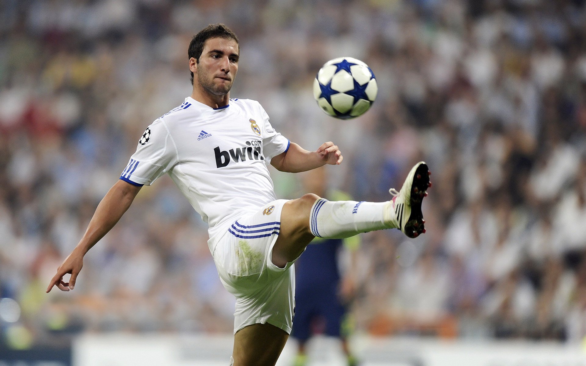 鹈鹕逆袭，当强行终结成为总决赛的残酷美学